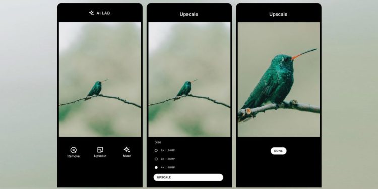 VSCO AI Lab ahora puede mejorar las imágenes hasta 4 veces
