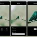 VSCO AI Lab ahora puede mejorar las imágenes hasta 4 veces