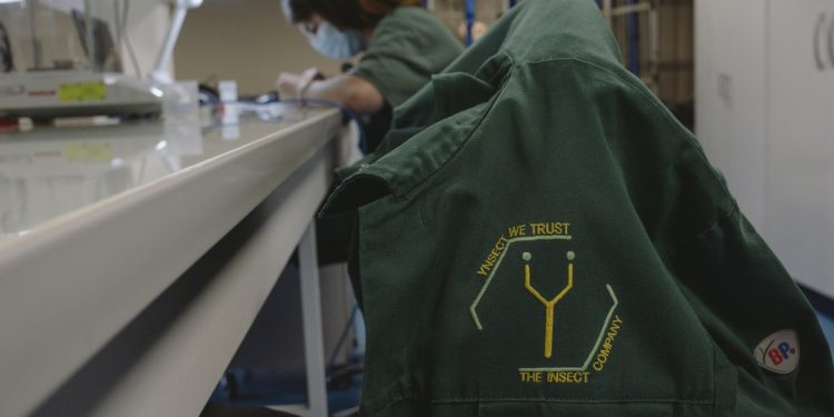 Cómo la realidad aplastó a Ÿnsect, la startup francesa que había recaudado más de 600 millones de dólares para el cultivo de insectos