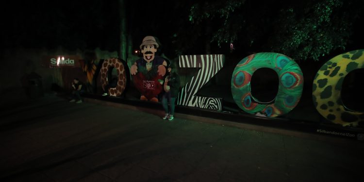 Zoológico La Aurora invita a vivir el año nuevo entre animales en la primera Noche de Luna de 2026