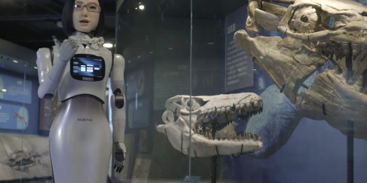 los estan poniendo al frente de tiendas