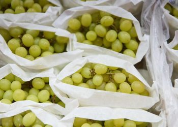 HOSPITAL GREGORIO MARAÑÓN | Qué alimentos se deben evitar para no sufrir atragantamientos infantiles