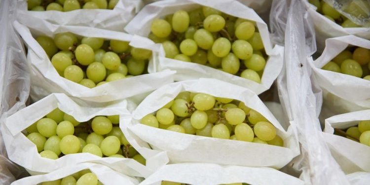 HOSPITAL GREGORIO MARAÑÓN | Qué alimentos se deben evitar para no sufrir atragantamientos infantiles