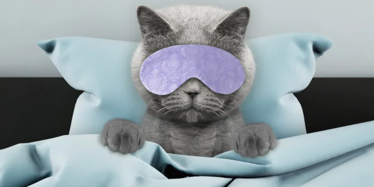 Mitos y consejos para combatir la resaca