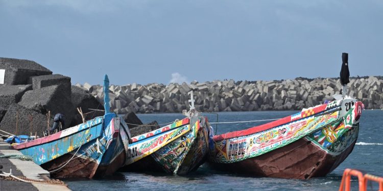 Las llegadas irregulares a España caen un 42,6% por la colaboración de los países de tránsito