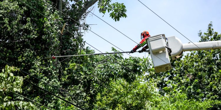 Trabajos de mantenimiento en la red eléctrica del 5 al 11 de enero de 2026 | La Prensa Panamá