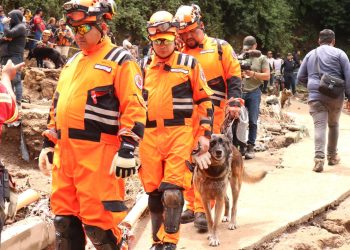 “Roger”, el perro que localizaba personas vivas y restos humanos muere tras 11 años de servicio