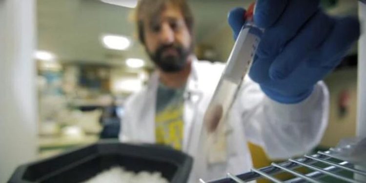 Andalucía arranca 2026 con récord de personas dedicadas a la ciencia: 33.000