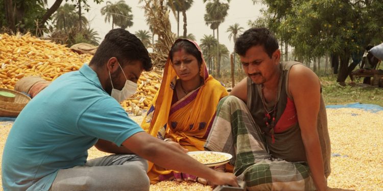 Incluso cuando los precios mundiales de los cultivos caen, Arya.ag de la India está atrayendo inversores y sigue siendo rentable