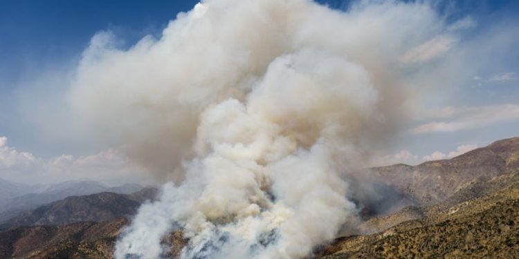 En combate contra 12 incendios forestales en Chile