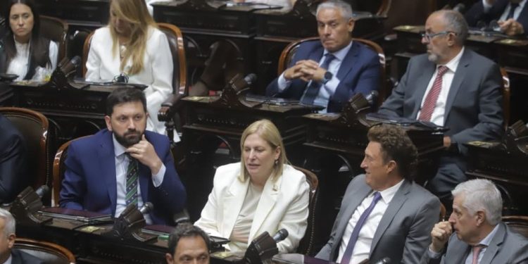diputados reclaman la conformación de comisiones para debatir el decreto en el Congreso