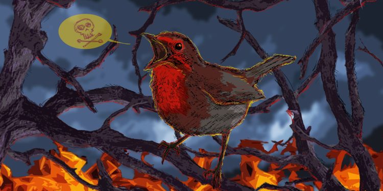 Los Pájaros – Zenda