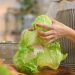 Je suis nutricionalniste et j'achète uniquement de la laitue iceberg. Voici pourquoi